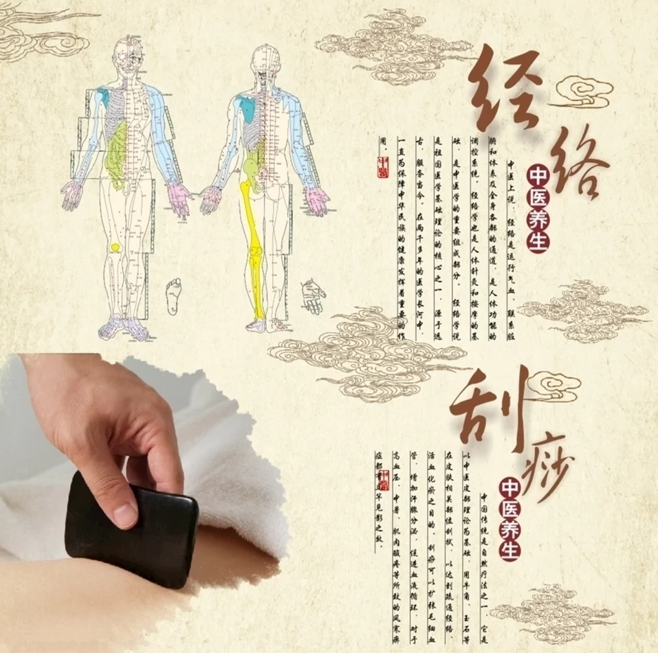经络刮痧与电针灸理疗调养