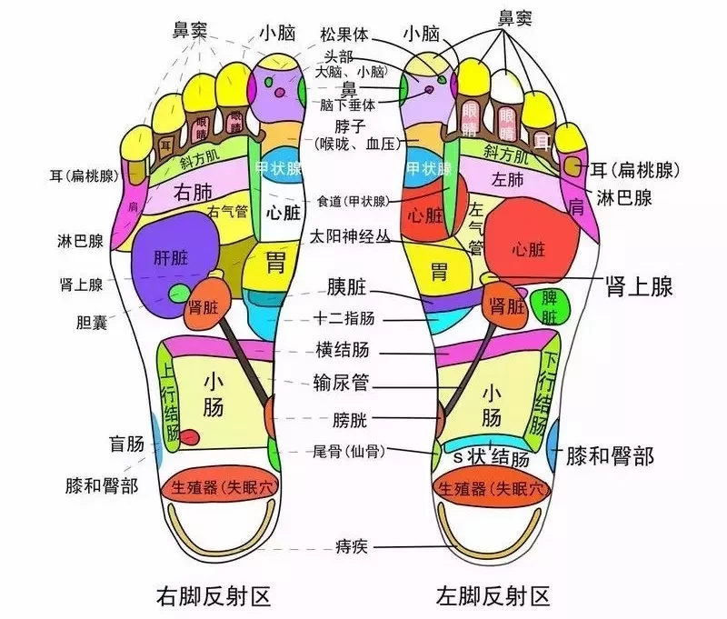 SOQI活力能量仪体验展示