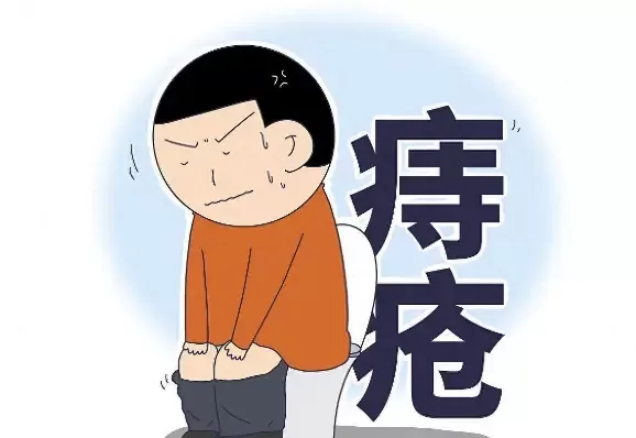 为什么只有人类得痔疮,痔疮为何会找上你?