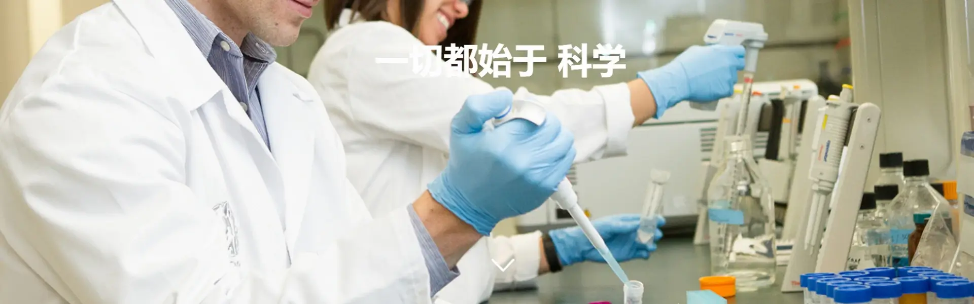 欄目橫幅