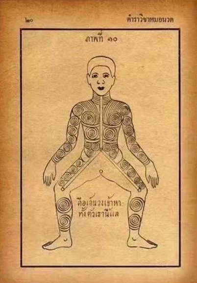 揭秘抓龙筋:古老疗法的现代奇效